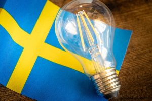A,Glowing,Light,Bulb,Lying,In,The,Middle,Of,The